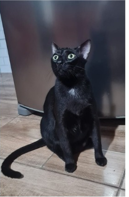 Felícia, recuperada